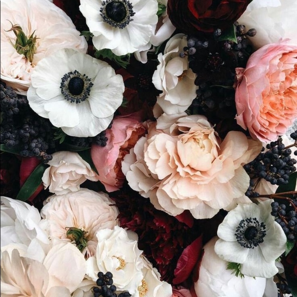 Meet your Posher, Anna